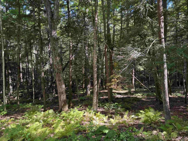 $80,000 | 933 Gage Road, Tunbridge, VT 05032