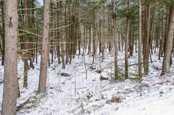 $70,000 | 933 Gage Road, Tunbridge, VT 05032