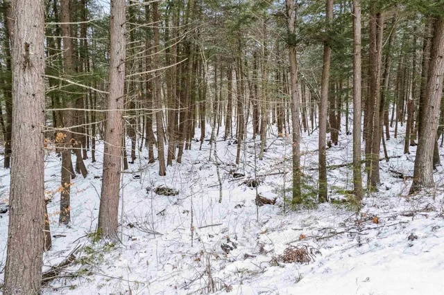 $75,000 | 933 Gage Road, Tunbridge, VT 05032