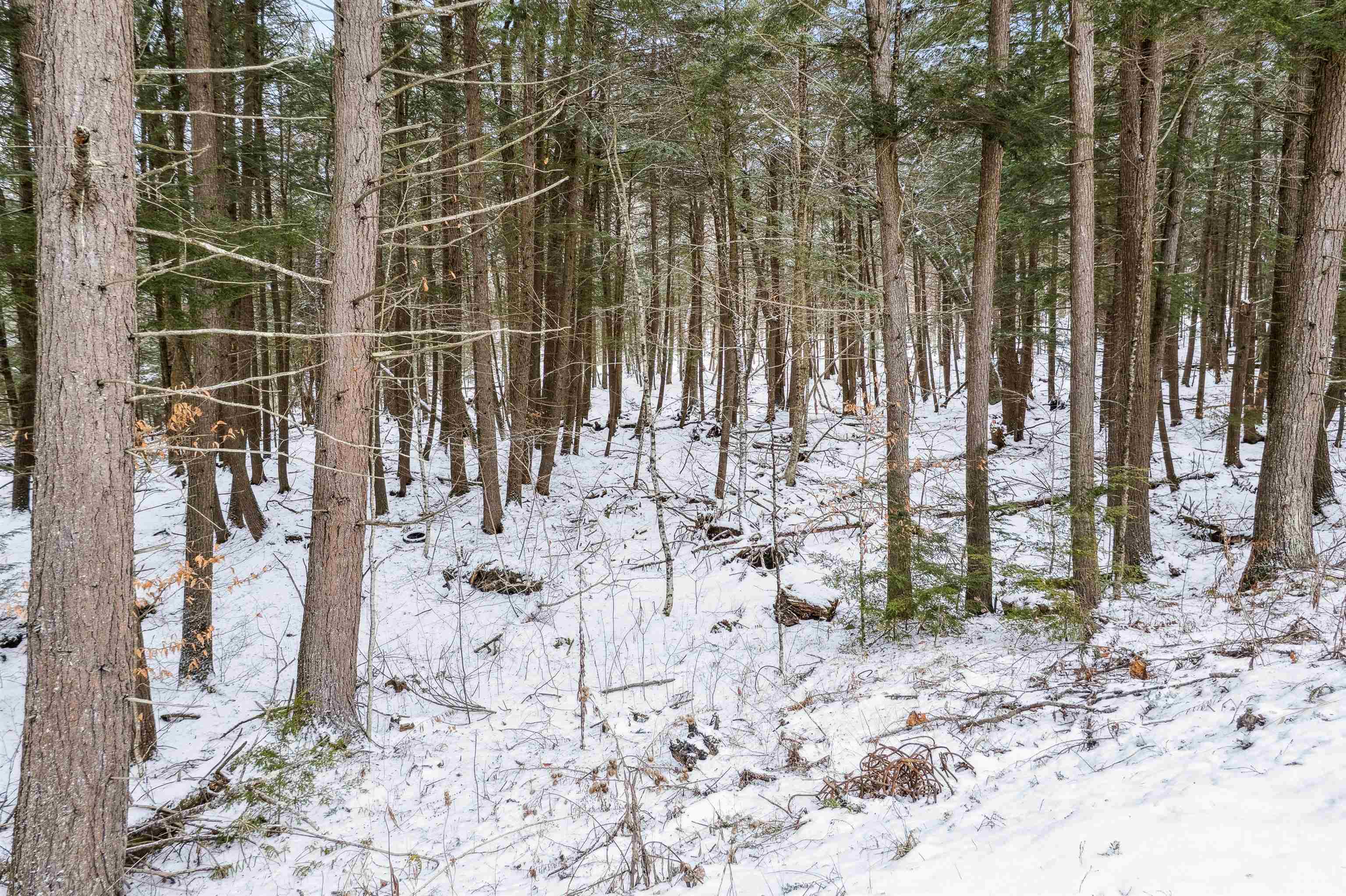 933 Gage Road Tunbridge, VT 05032 - Photo 6 of 18