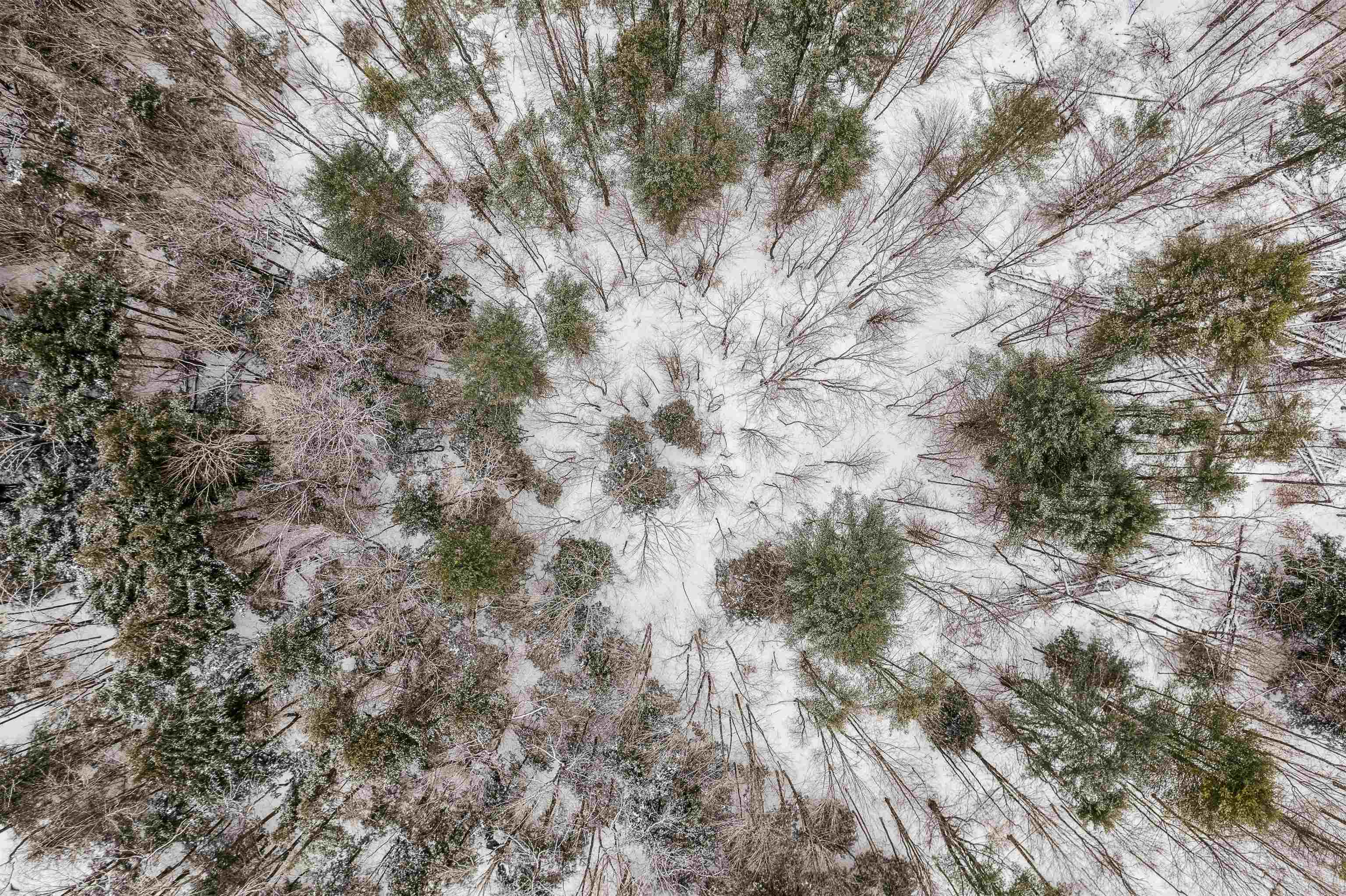 933 Gage Road Tunbridge, VT 05032 - Photo 7 of 18