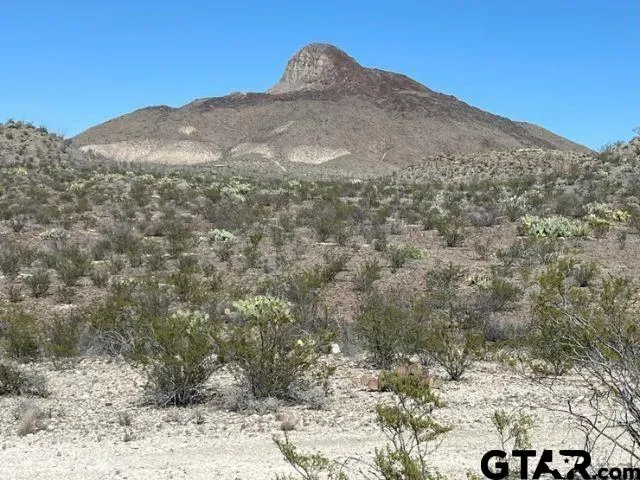 a view of a dry yard with mountains in the background