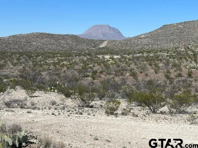 a view of a dry yard with wooden fence