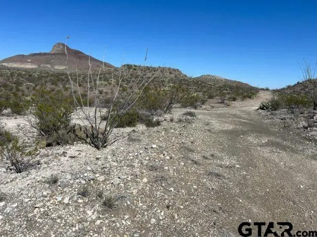 a view of a dry field with mountains in the background