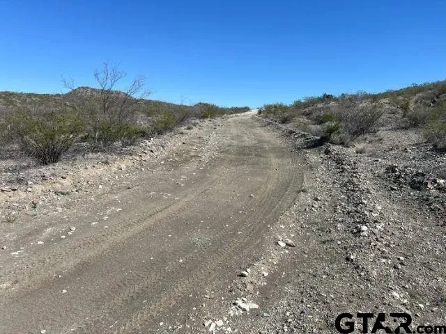 a view of a dry yard
