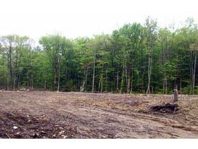0 Ferin Road Rindge, NH 03461 - Photo 2 of 2