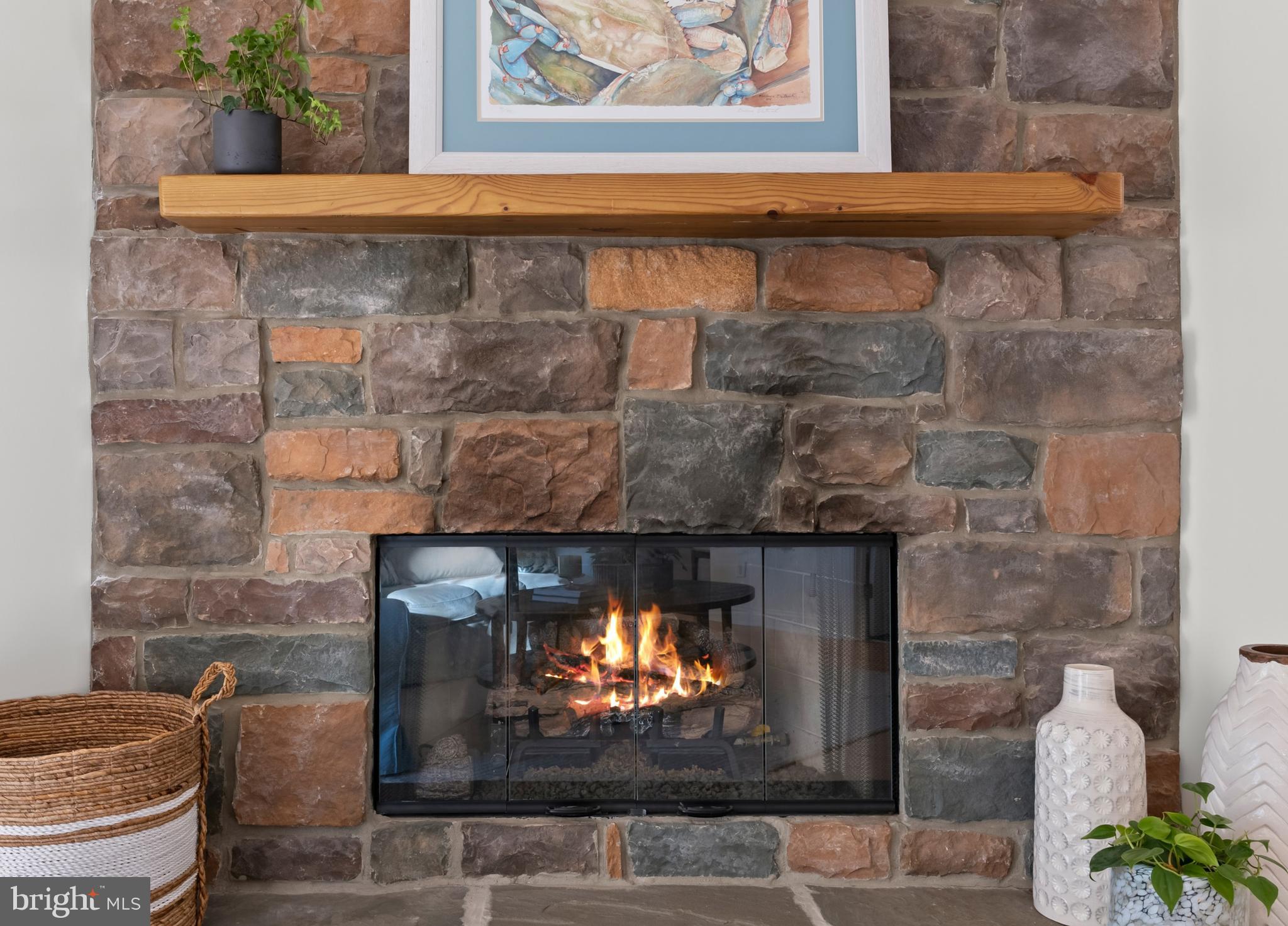 34506 Doe Run Lewes, DE 19958 - Photo 14 of 54 Stone Gas Fireplace