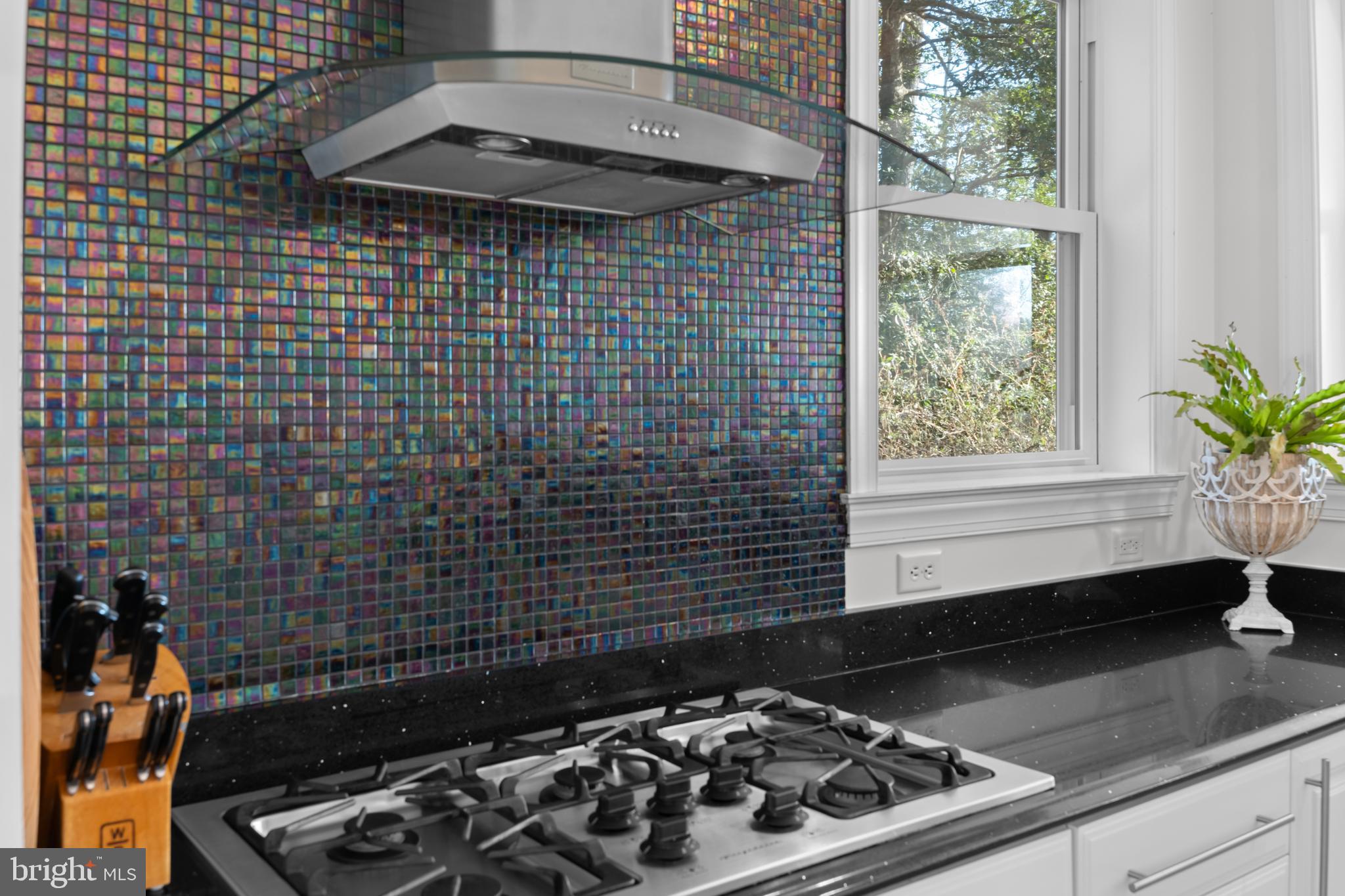 34506 Doe Run Lewes, DE 19958 - Photo 21 of 54 Mosaic Stove Backsplash & Gas Burner