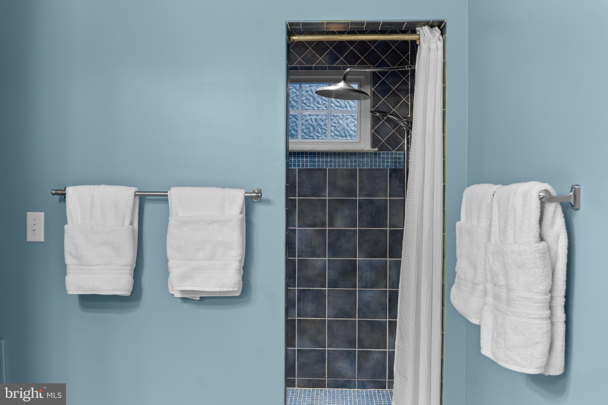 34506 Doe Run Lewes, DE 19958 - Photo 29 of 54 Owners Suite with Tiled Shower