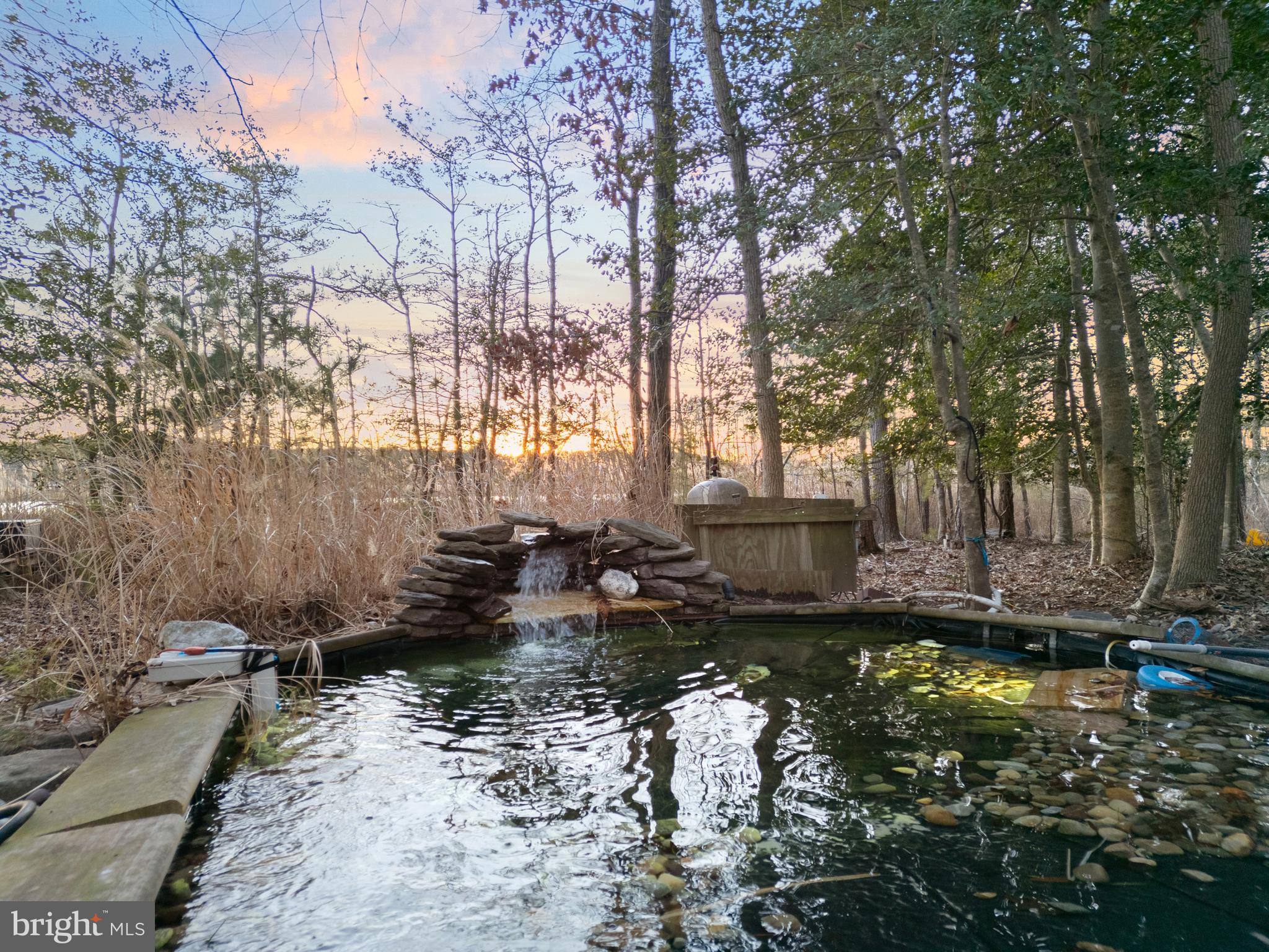 34506 Doe Run Lewes, DE 19958 - Photo 45 of 54 Pond w/ Running Fountain