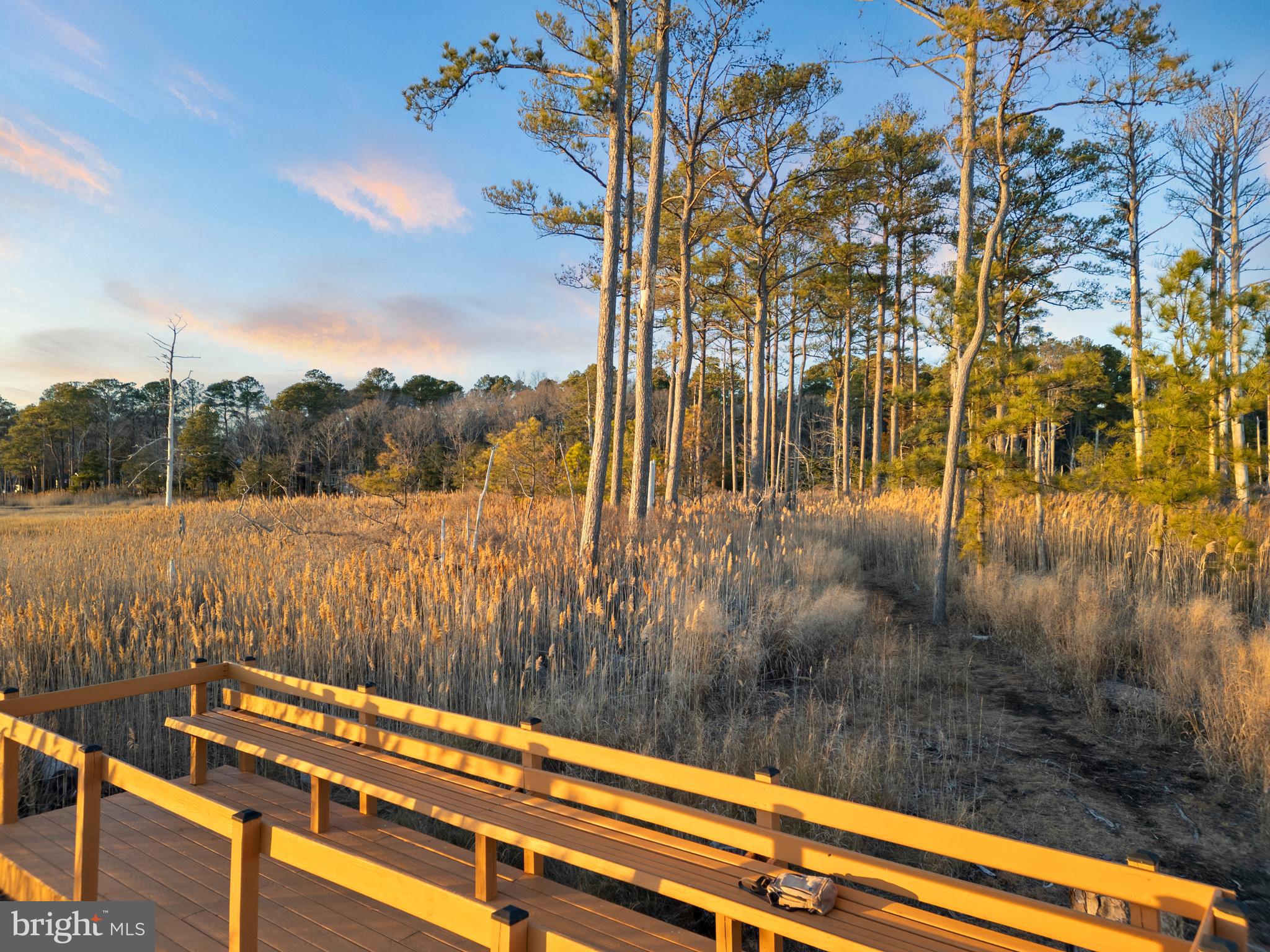 34506 Doe Run Lewes, DE 19958 - Photo 52 of 54 Community Nature Trail