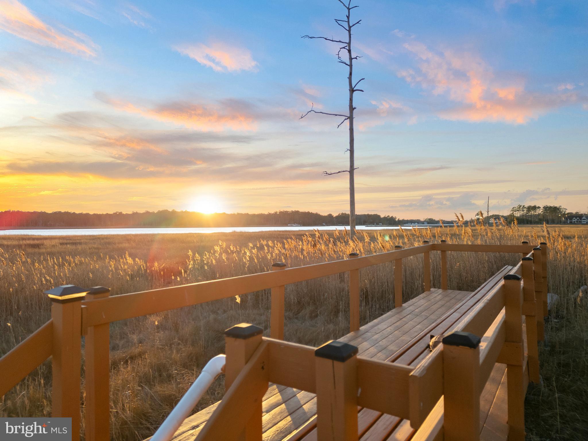 34506 Doe Run Lewes, DE 19958 - Photo 53 of 54 Community Nature Trail