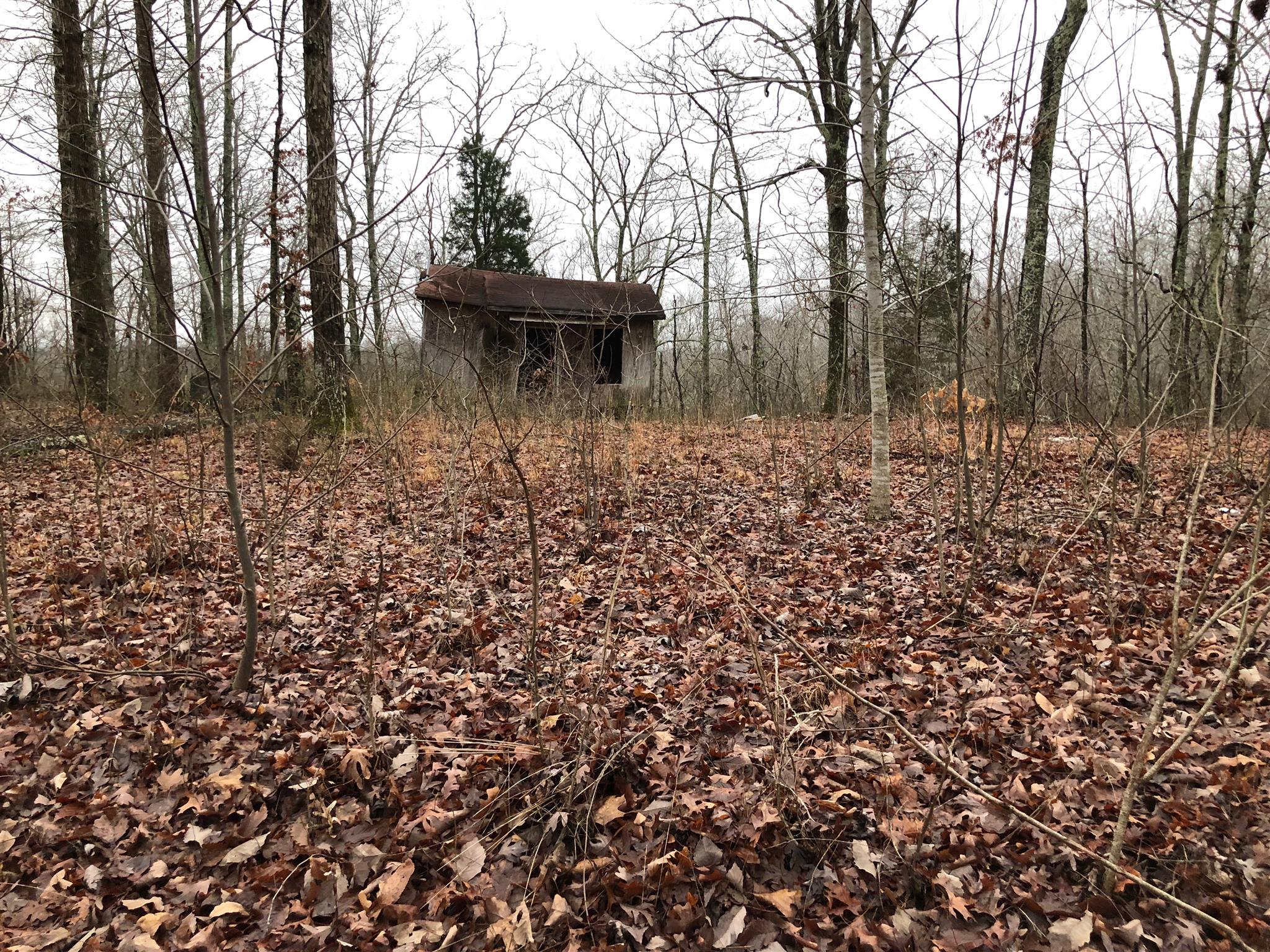 417 Beech Creek Road Waverly, TN 37185 - Photo 1 of 4 Old building would make a great hunting blind/shooting shack