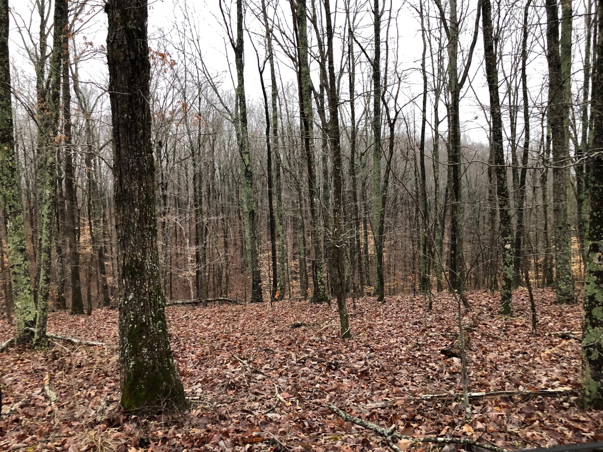 417 Beech Creek Road Waverly, TN 37185 - Photo 2 of 4 Beautiful views from atop the ridge