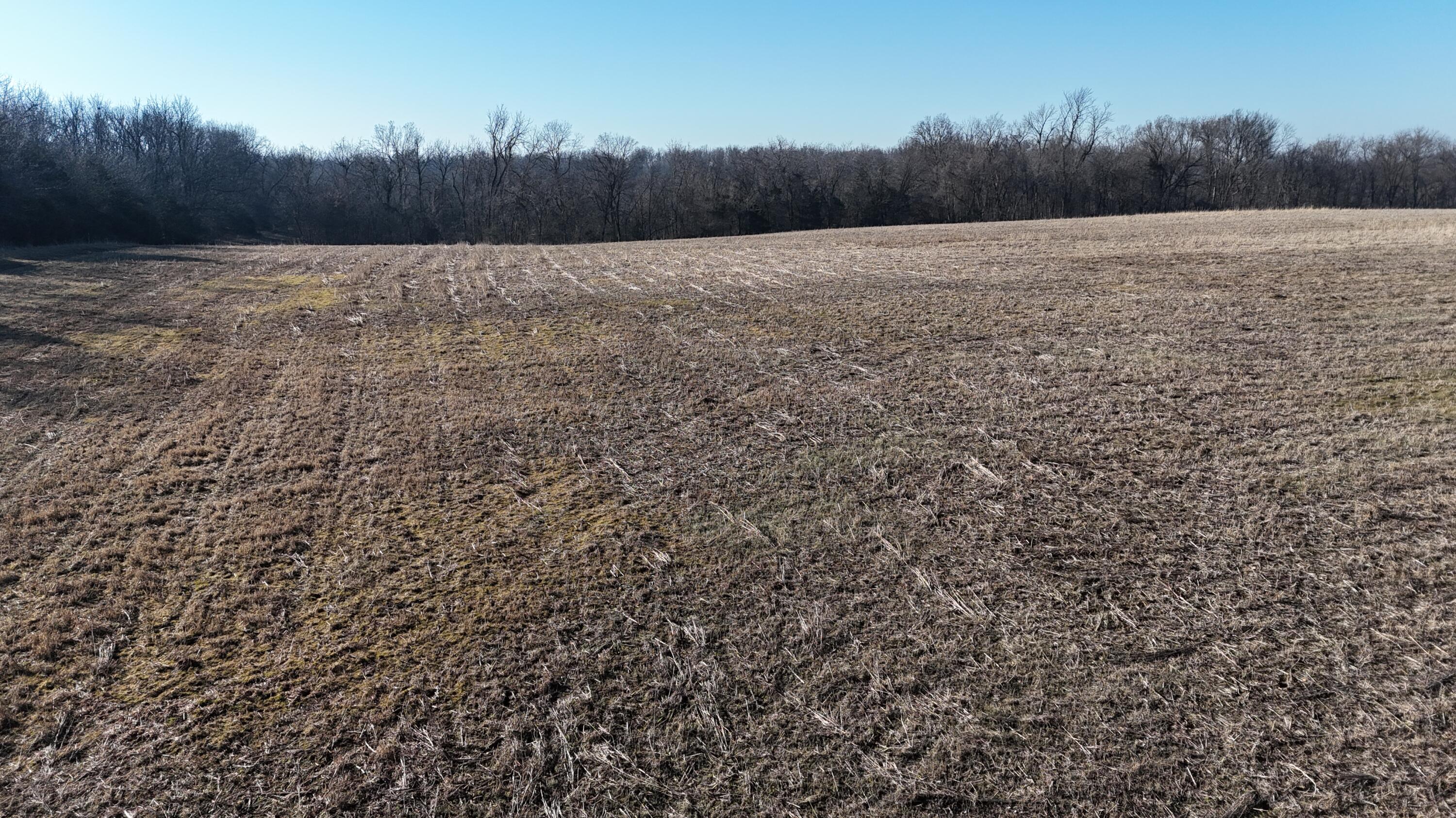 Lot 3 South 140th Road Morrisville, MO 65710 - Photo 7 of 12 DJI_20260209093519_0827_D