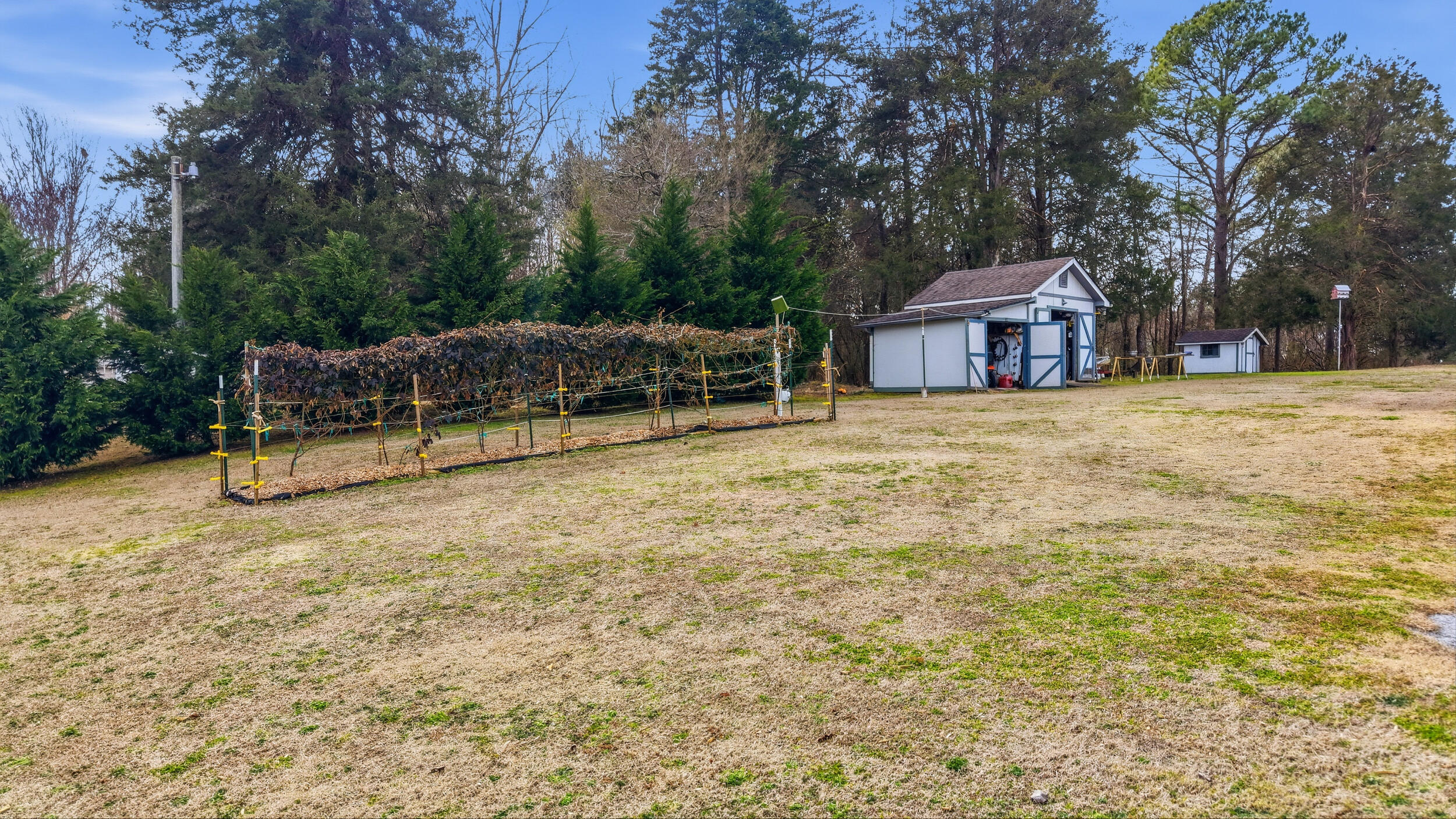 127 Boyd Street Dayton, TN 37321 - Photo 39 of 50 41_127 boyd st-41