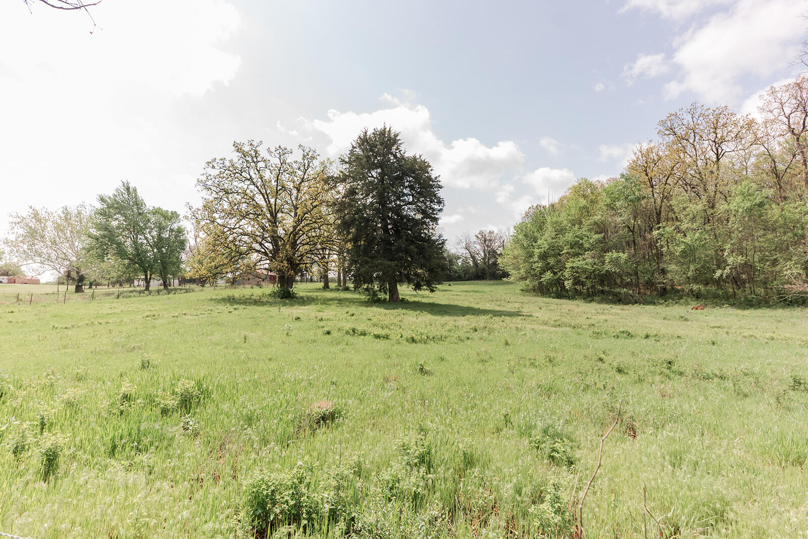 5423 South 226th Road Pleasant Hope, MO 65725 - Photo 43 of 45 5423S226-44