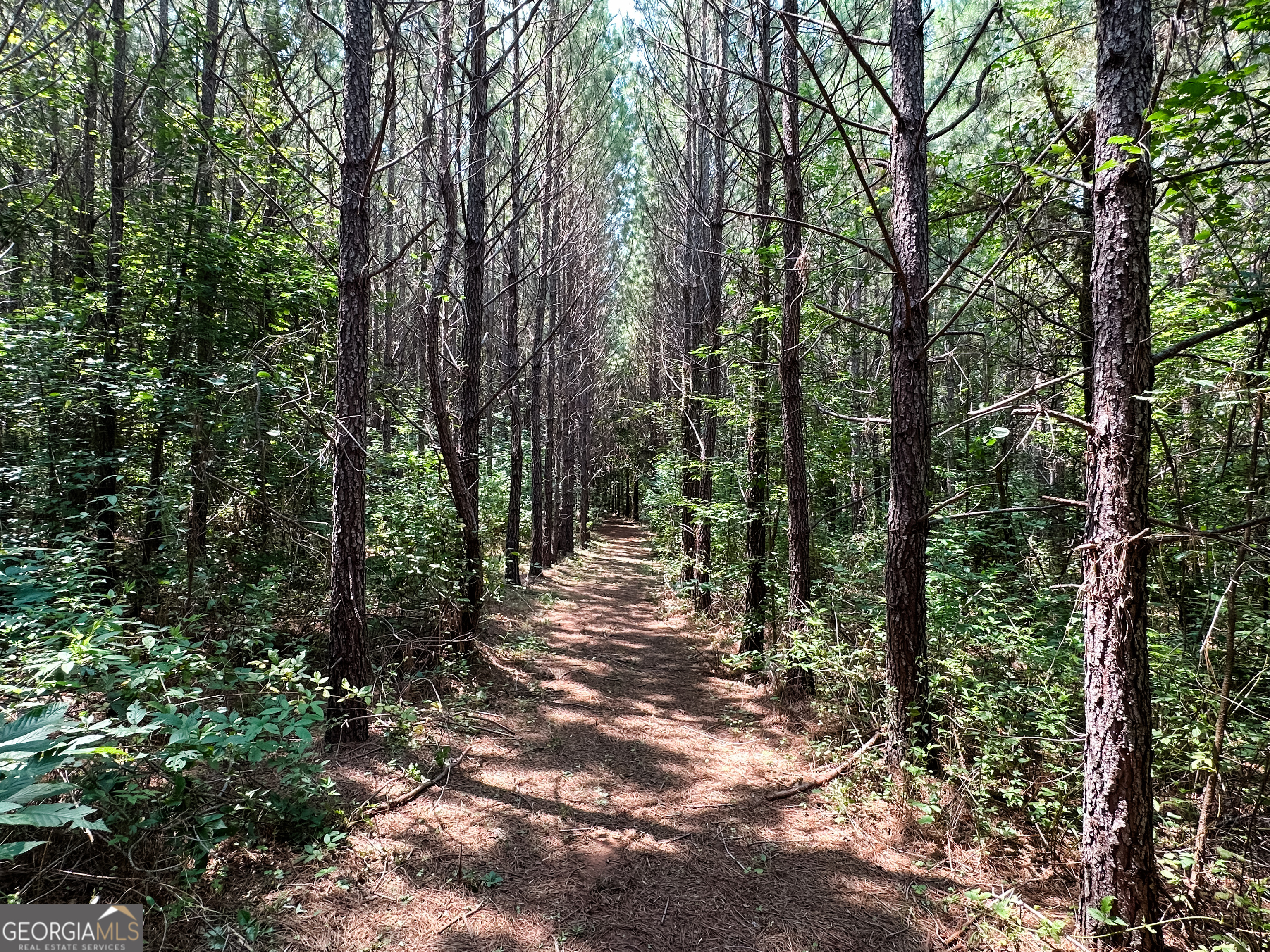 0 Jordan Road, Unit 17 79 ACRES Monticello, GA 31064 - Photo 37 of 38 Gallery Image 37