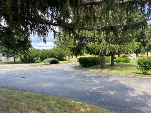 239 Northway Park Road Machesney Park, IL 61115 - Photo 14 of 14 a view of a yard with plants and trees