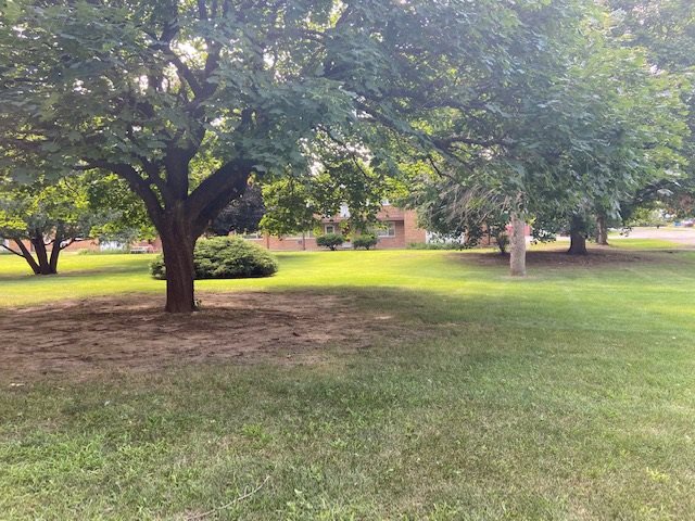 239 Northway Park Road Machesney Park, IL 61115 - Photo 3 of 14 a view of an trees with a big yard
