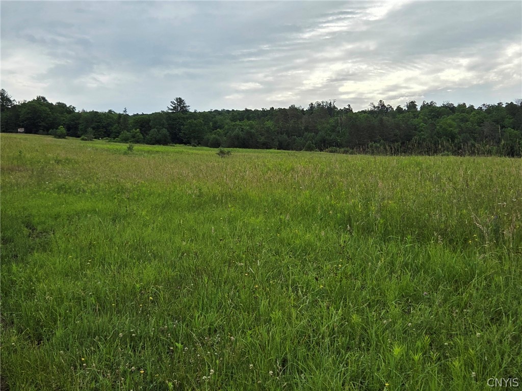 500 Farnham Road Sanford, NY 13865 - Photo 39 of 50 Gallery Image 39