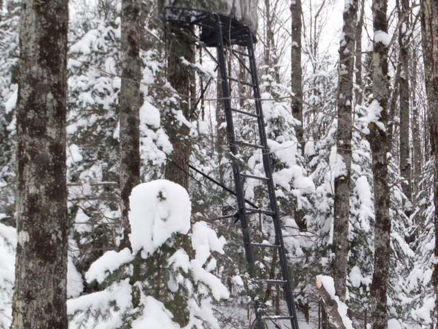 2080 Strong Road Phelps, WI 54554 - Photo 20 of 20 Gallery Image 20