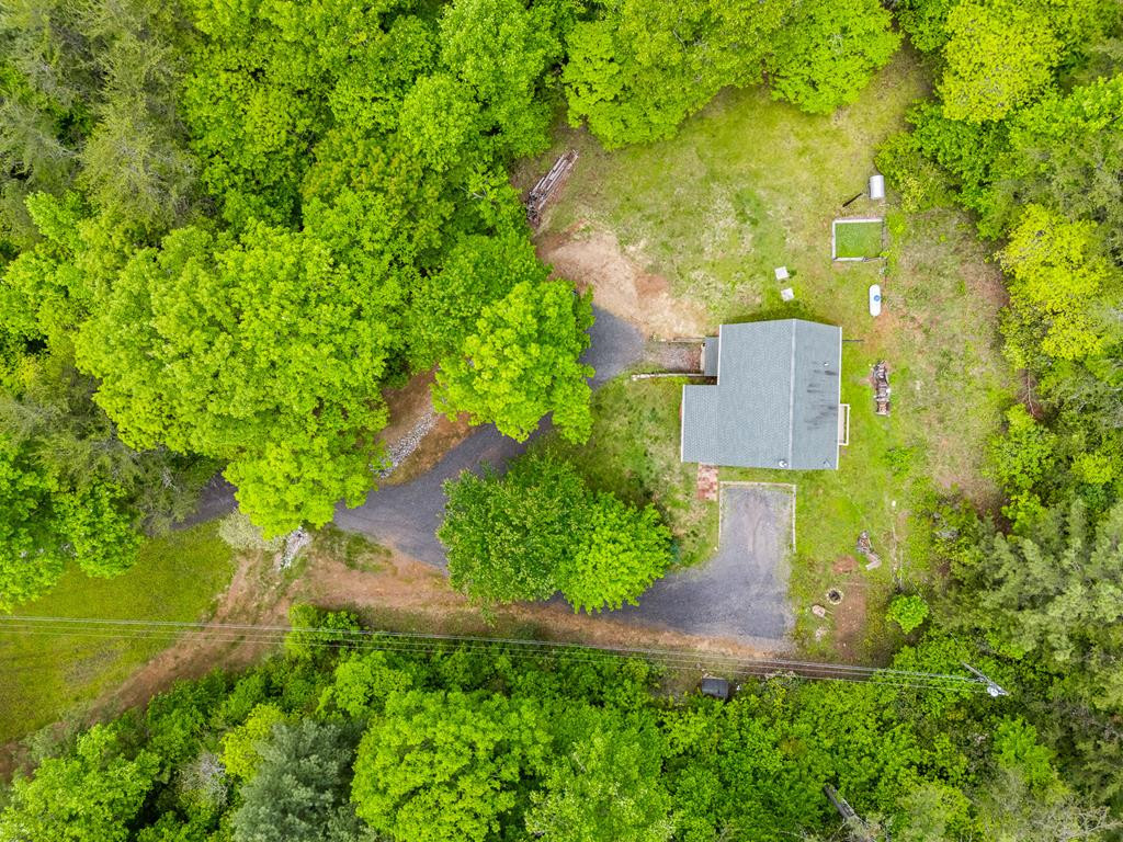 1374 Long Branch Road Marble, NC 28905 - Photo 52 of 54