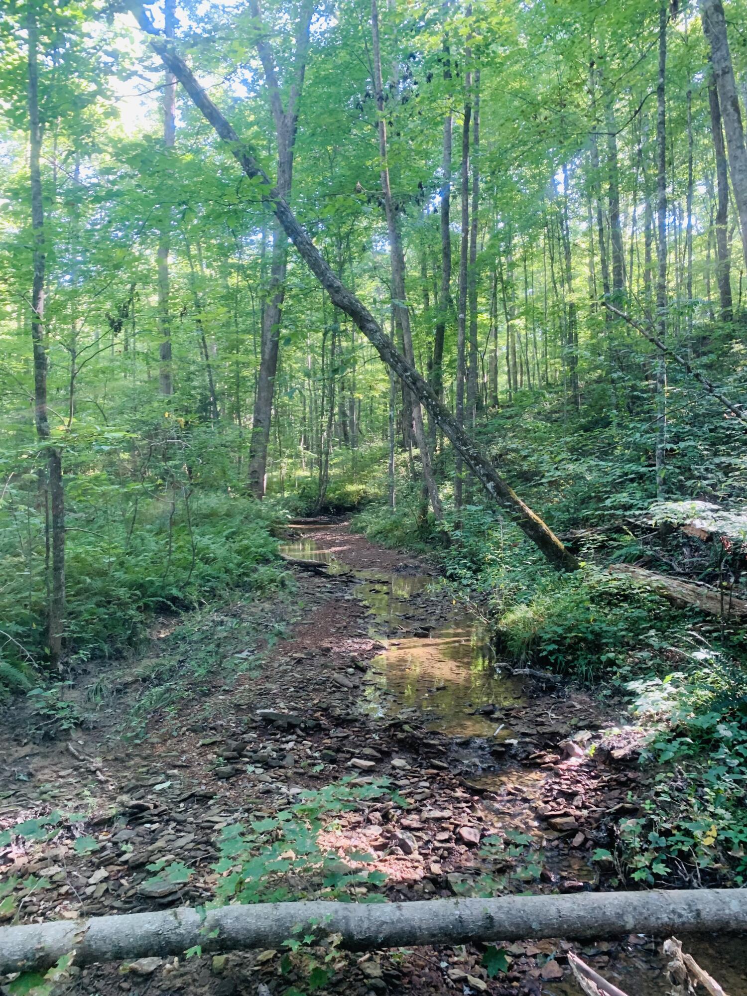 9999 West Adkins Arthur Road Somerset, KY 42501 - Photo 24 of 24 8366E6DC-0713-4683-BFDE-5C029699D001