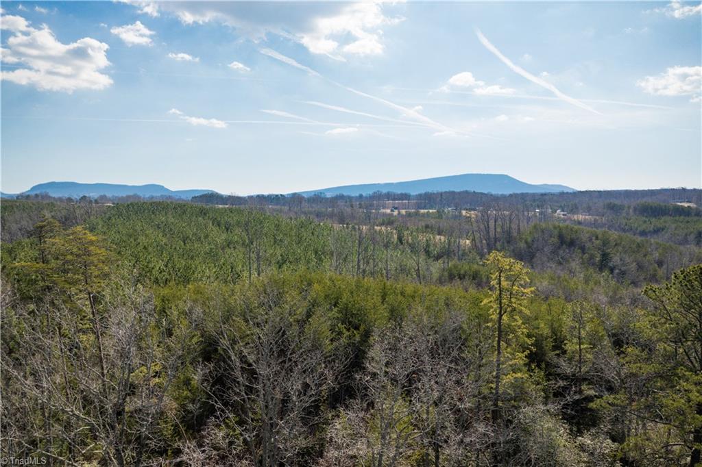74.83 Windy Hill Road Westfield, NC 27053 - Photo 11 of 19