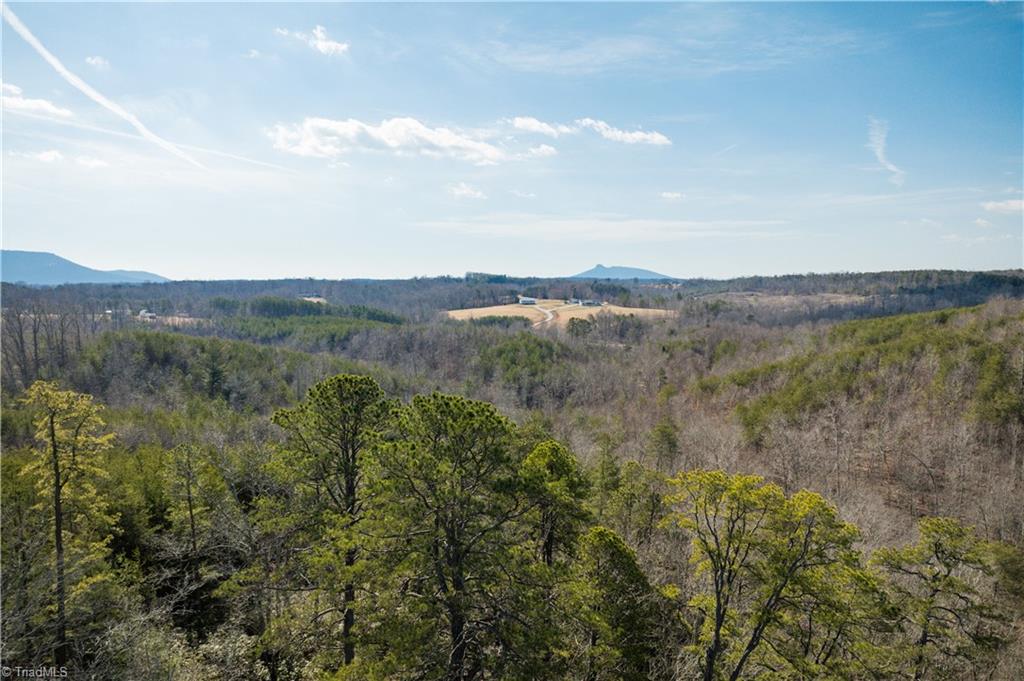 74.83 Windy Hill Road Westfield, NC 27053 - Photo 12 of 19