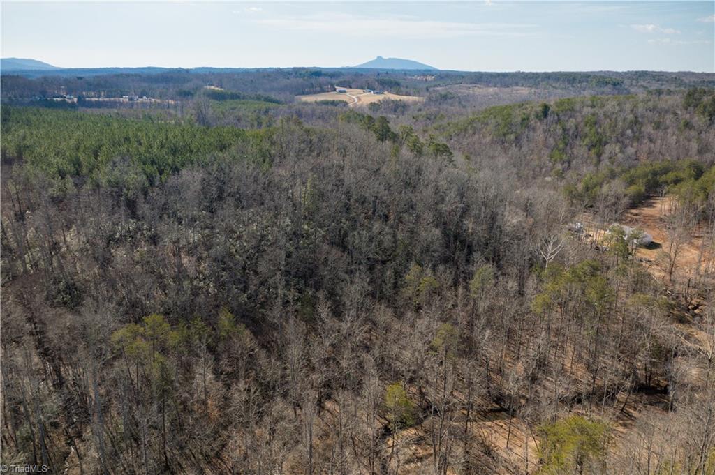 74.83 Windy Hill Road Westfield, NC 27053 - Photo 13 of 19