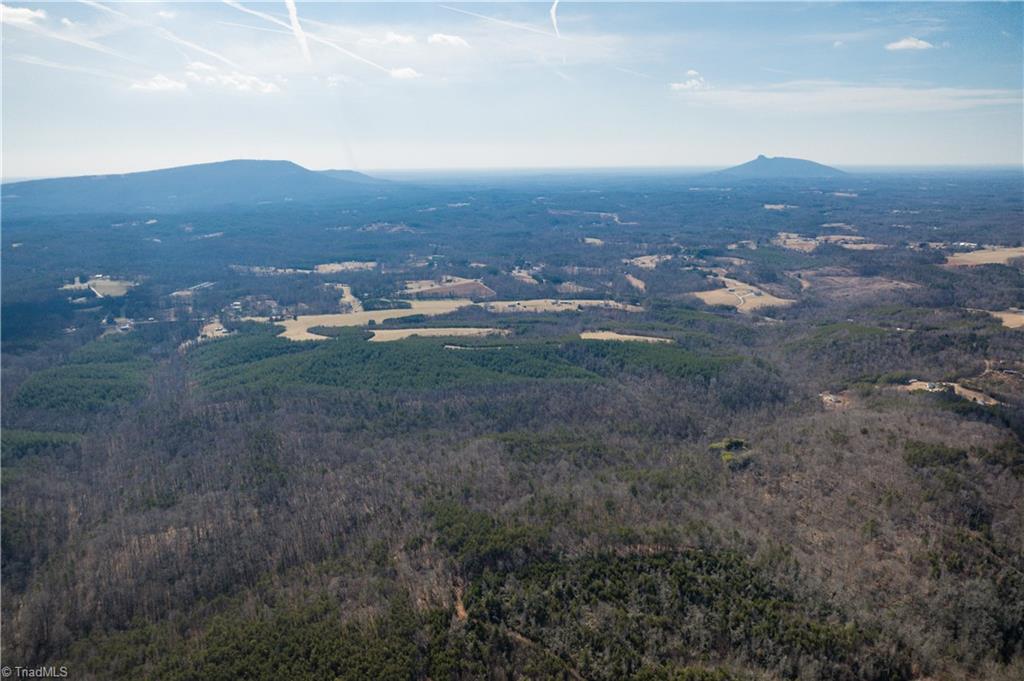 74.83 Windy Hill Road Westfield, NC 27053 - Photo 14 of 19