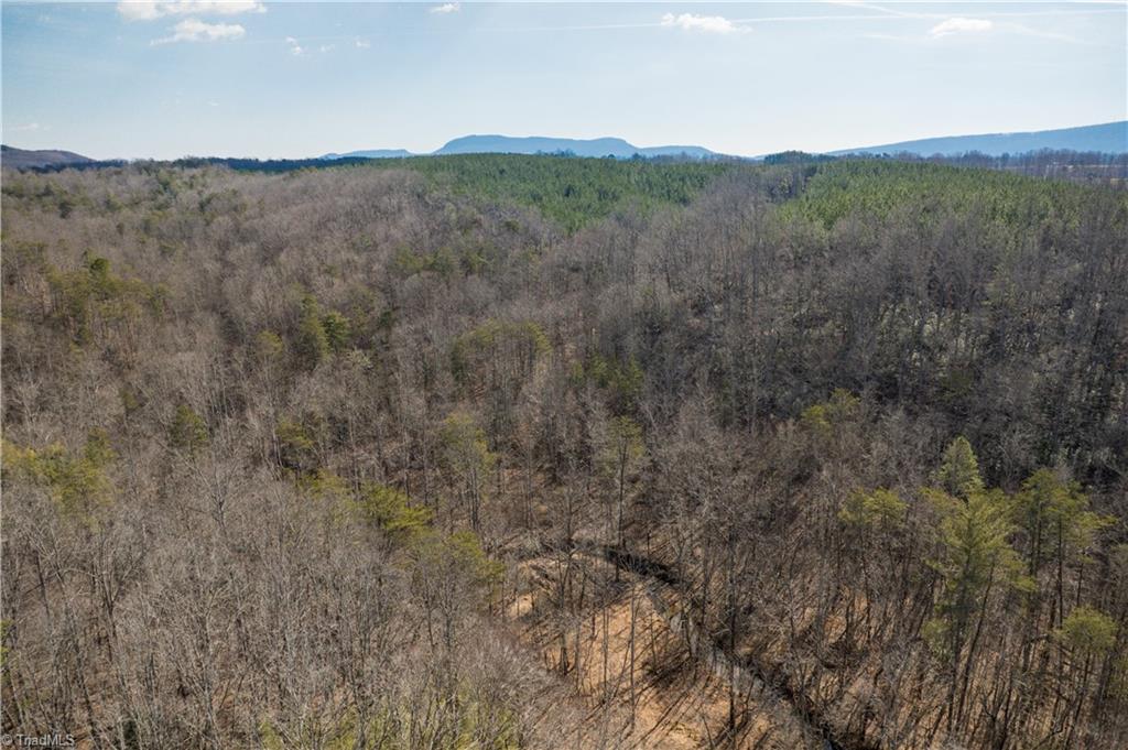 74.83 Windy Hill Road Westfield, NC 27053 - Photo 17 of 19