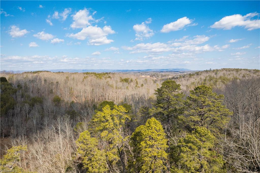 74.83 Windy Hill Road Westfield, NC 27053 - Photo 5 of 19