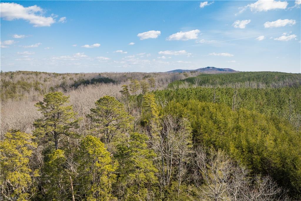 74.83 Windy Hill Road Westfield, NC 27053 - Photo 6 of 19
