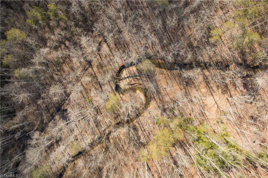 74.83 Windy Hill Road Westfield, NC 27053 - Photo 7 of 19