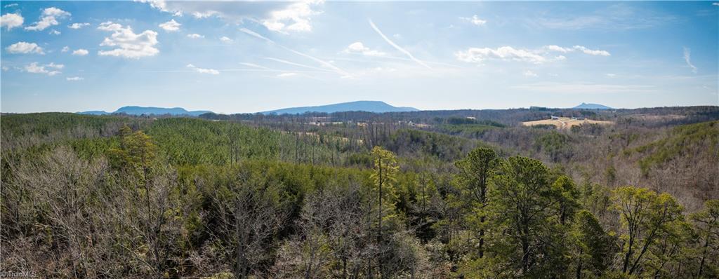 74.83 Windy Hill Road Westfield, NC 27053 - Photo 10 of 19