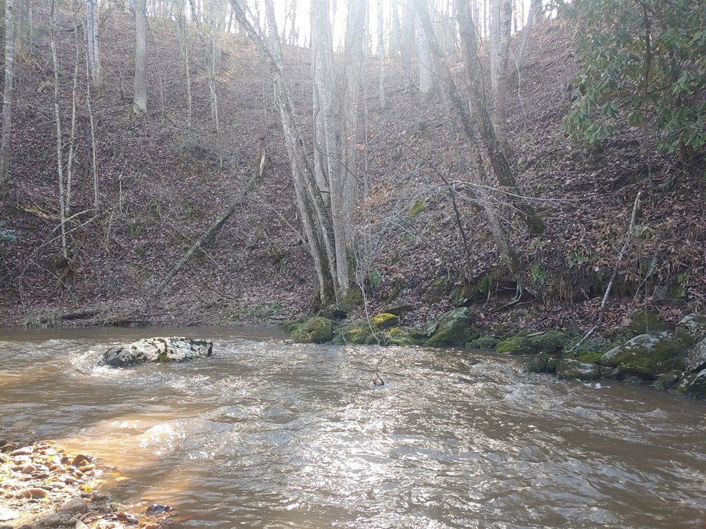 Tbd Falling Branch Road Northwest Floyd, VA 24091 - Photo 17 of 27 Gallery Image 17
