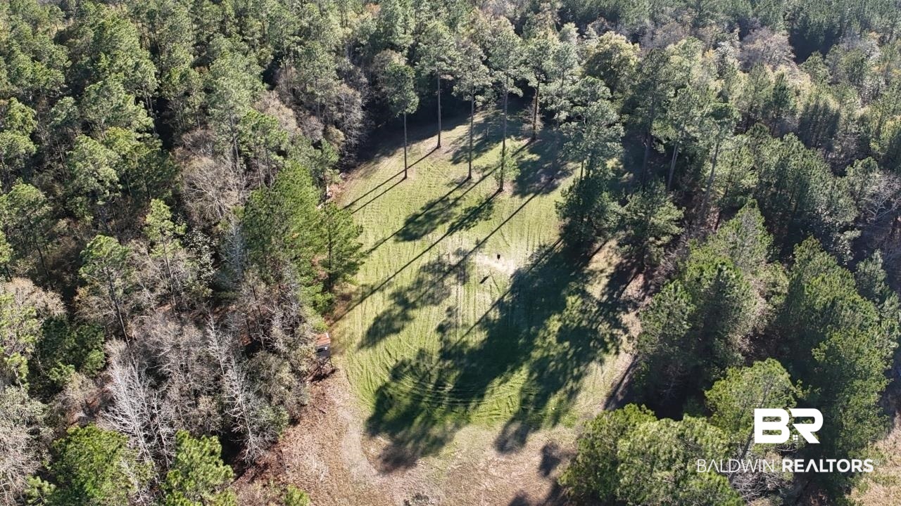11808 Abb Road Tibbie, AL 36583 - Photo 12 of 31 Birds eye view of property with a forest view