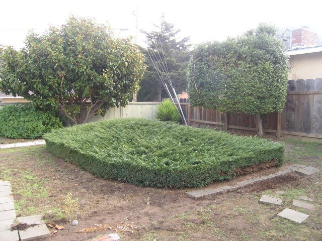 6 Ralston Drive Monterey, CA 93940 - Photo 7 of 8 Gallery Image 7