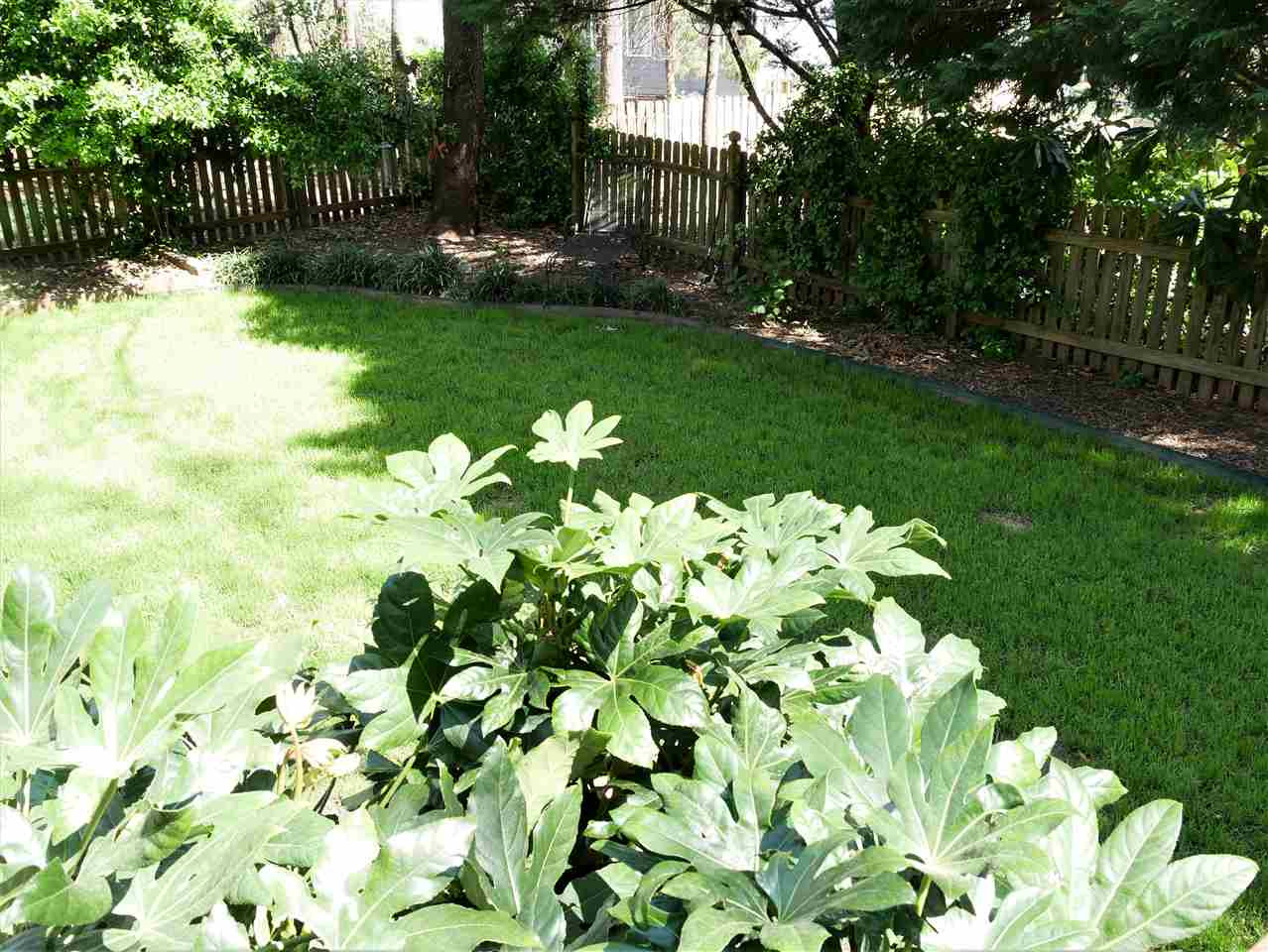 8512 Wheeling Drive Raleigh, NC 27615 - Photo 3 of 30 Lots of landscaping in the fenced in backyard. Backyard