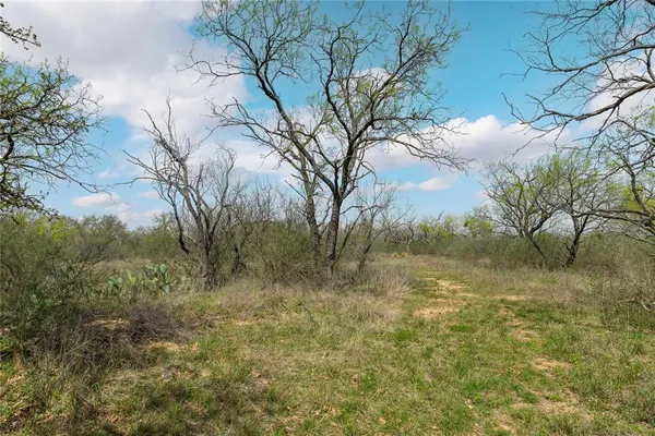 $325,000 | 496 County Road 198, Brownwood, TX 76801