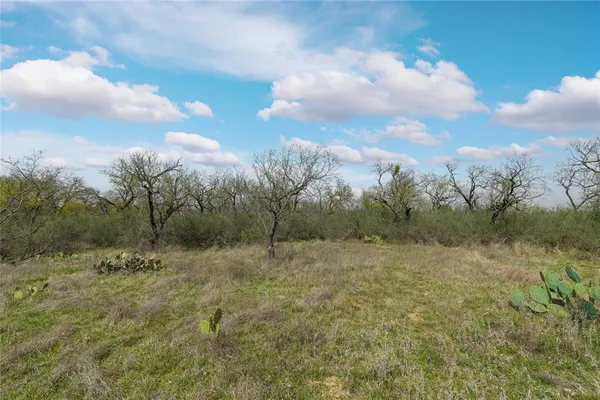 $325,000 | 496 County Road 198, Brownwood, TX 76801