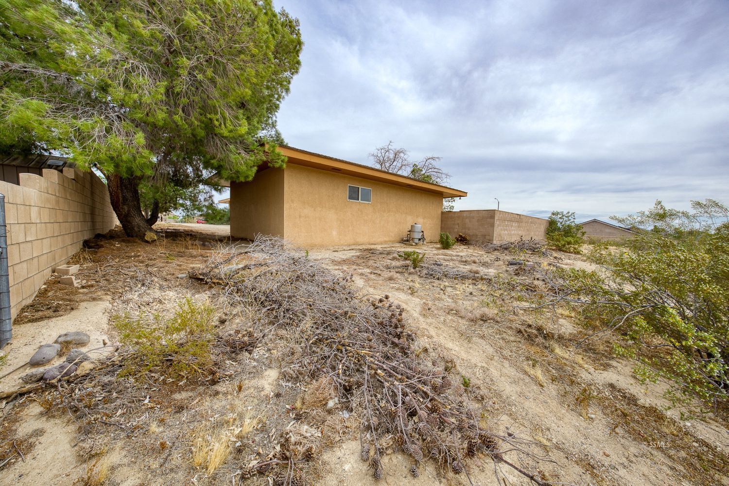 1313 Autumn Avenue Ridgecrest, CA 93555 - Photo 39 of 50 a backyard of a house with large trees