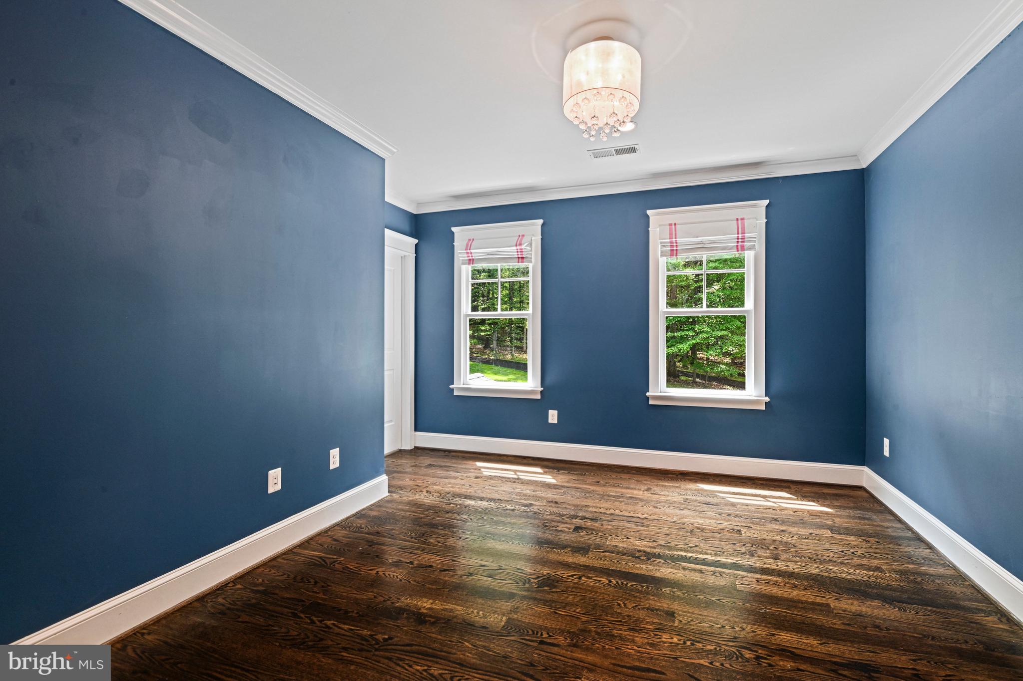 248 Springvale Road Great Falls, VA 22066 - Photo 44 of 77