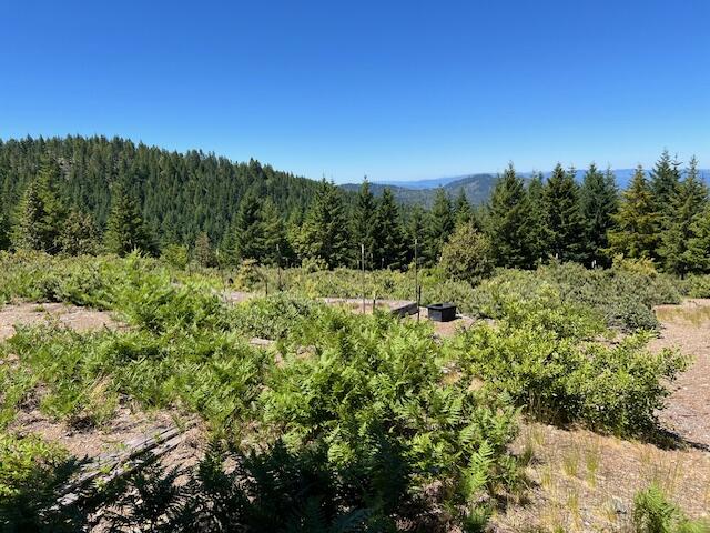 Three Creeks Road Blue Lake, CA 95525 - Photo 12 of 14