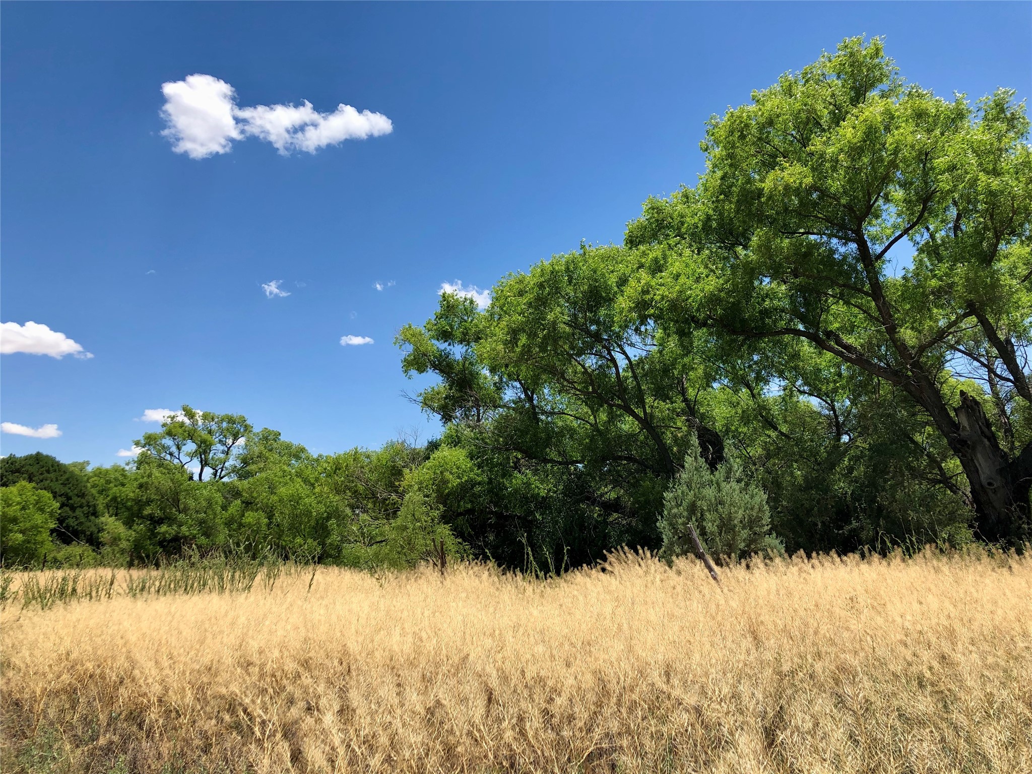 Pitchfork Pitchfork Ranch Silver City, NM 88061 - Photo 45 of 56