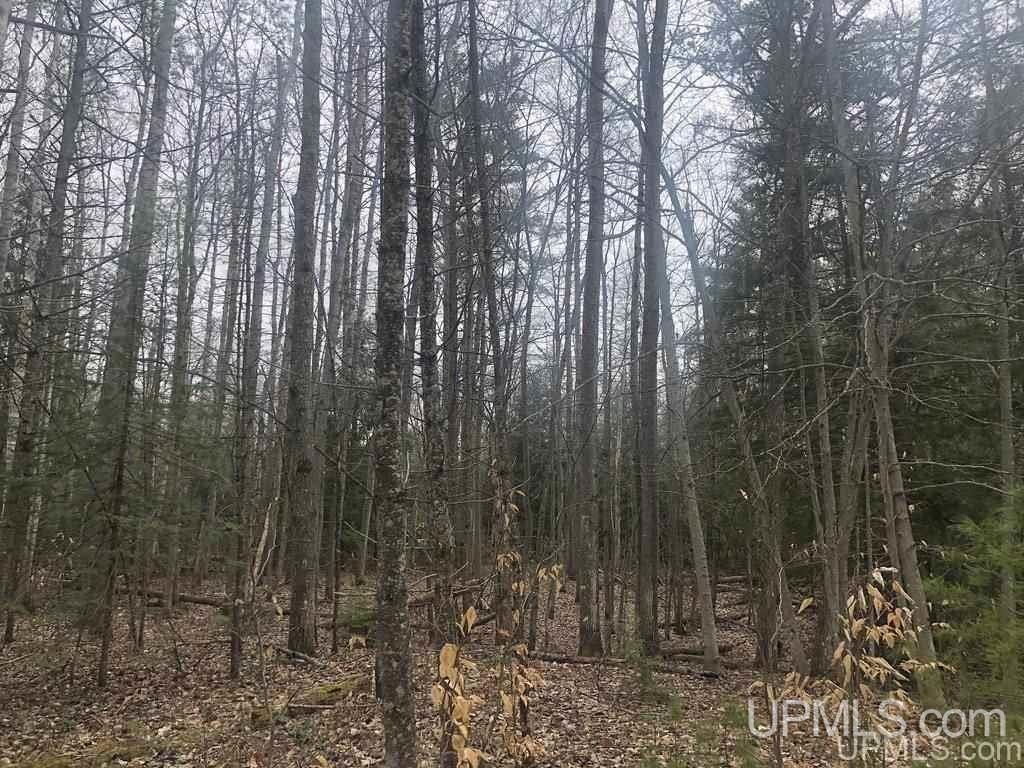 36.5 Shores Road, Unit 22 Manistique, MI 49854 - Photo 3 of 11