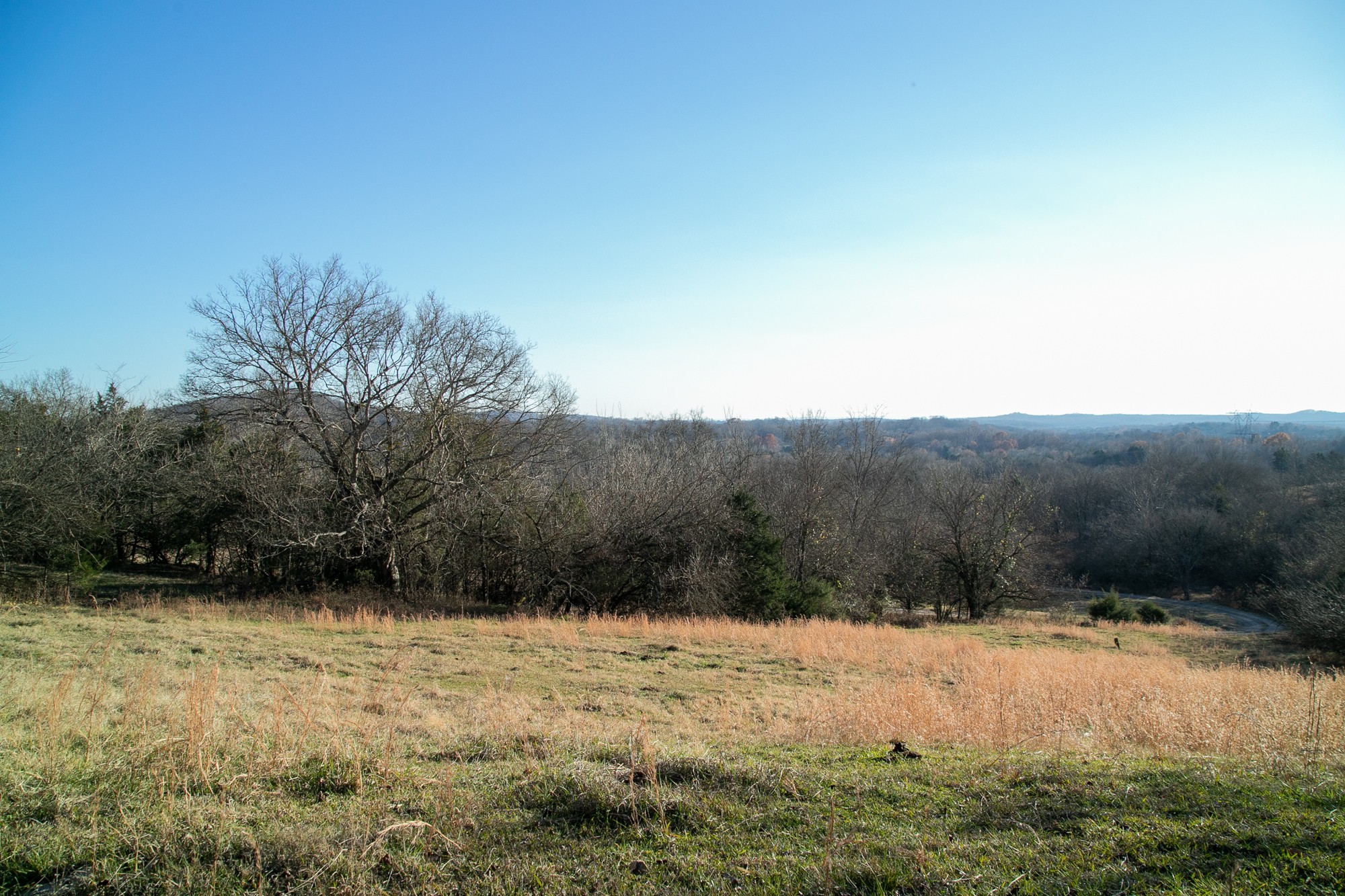 6880 Pulltight Hill Road College Grove, TN 37046 - Photo 14 of 49 a view of a yard