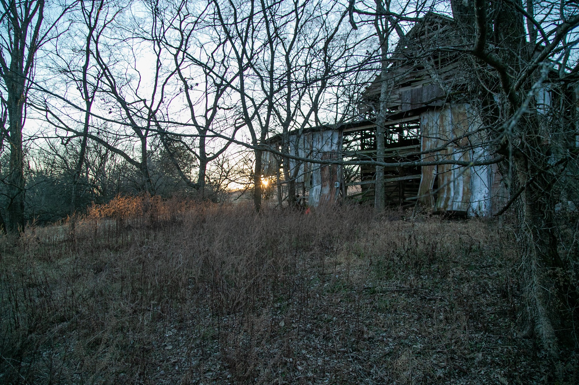 6880 Pulltight Hill Road College Grove, TN 37046 - Photo 18 of 49 a view of outdoor space with seating area